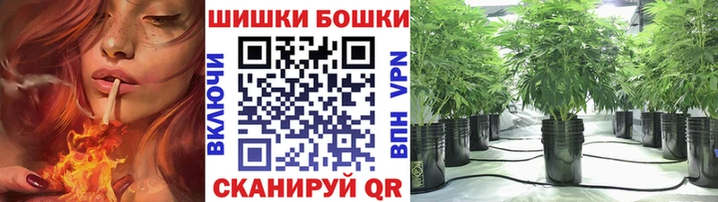 KRAKEN как зайти  Злынка  Каннабис AK-47  где можно купить наркотик 
